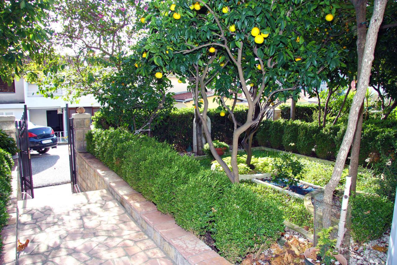 Mm Kovacevic Apartments Petrovac Exterior foto